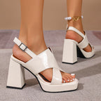The Scarlett Platform