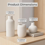 The Novella Ribbed Vase Set