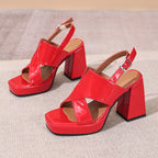 The Scarlett Platform