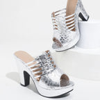 Silver Stardust Platforms